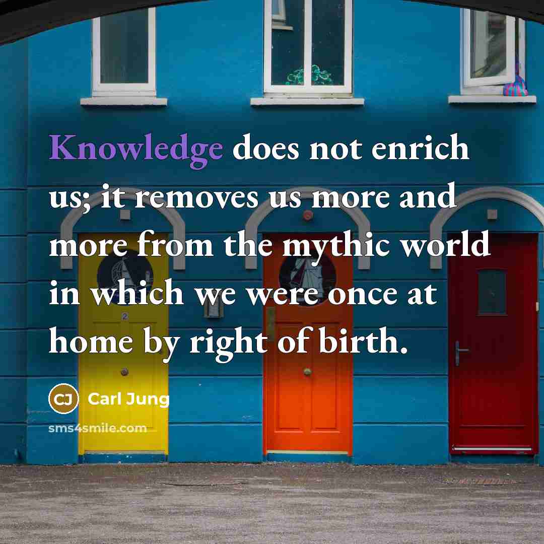 “Knowledge does not enrich us; it removes us more and…” quote by Carl Jung