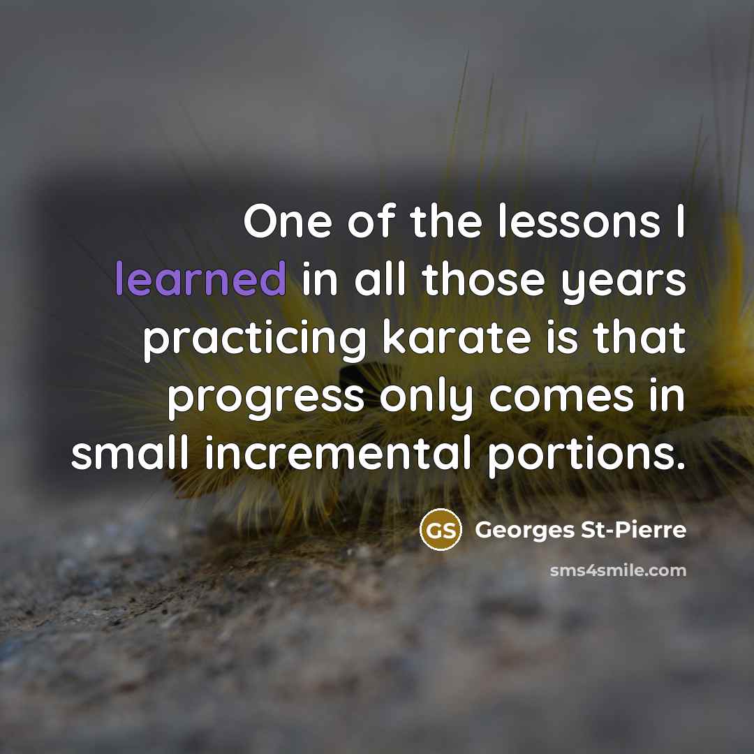 “One of the lessons I learned in all those years…” quote by Georges St-Pierre