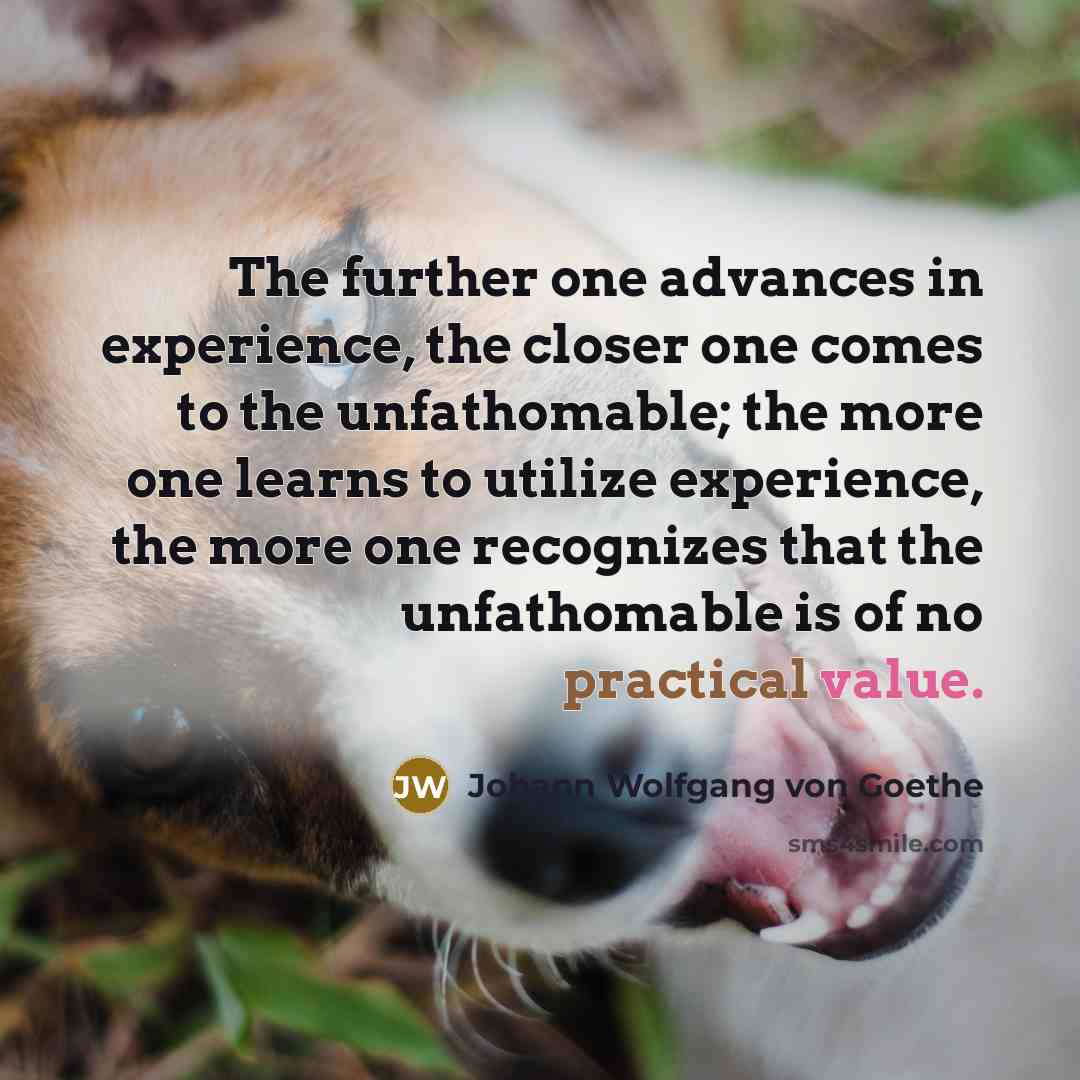 “The further one advances in experience, the closer one comes…” quote by Johann Wolfgang von Goethe