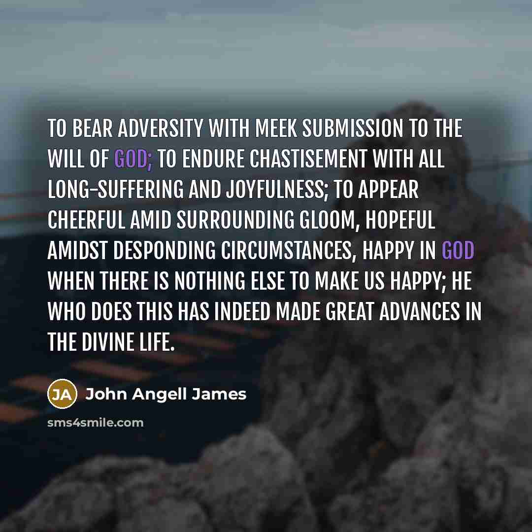 “To bear adversity with meek submission to the will of…” quote by John Angell James