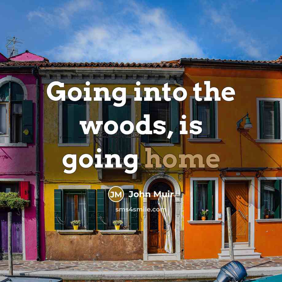 “Going into the woods, is going home” quote by John Muir