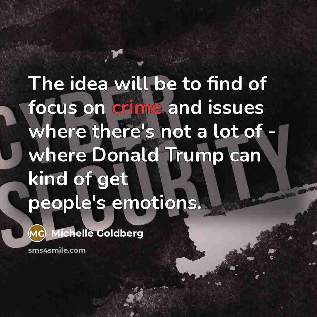 “The idea will be to find of focus on crime…” quote by Michelle Goldberg