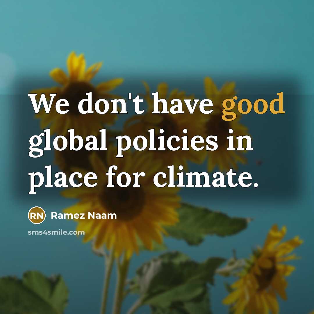 “We don't have good global policies in place for climate.…” quote by Ramez Naam