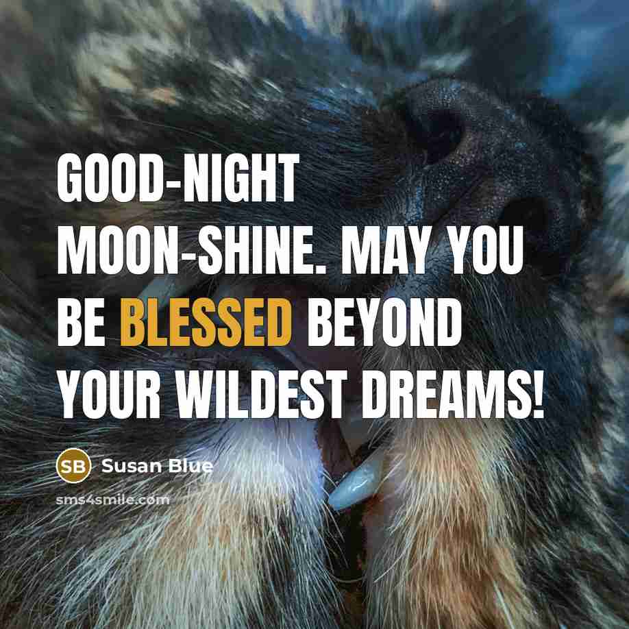 “Good-night Moon-shine. May you be blessed beyond your wildest dreams!” quote by Susan Blue