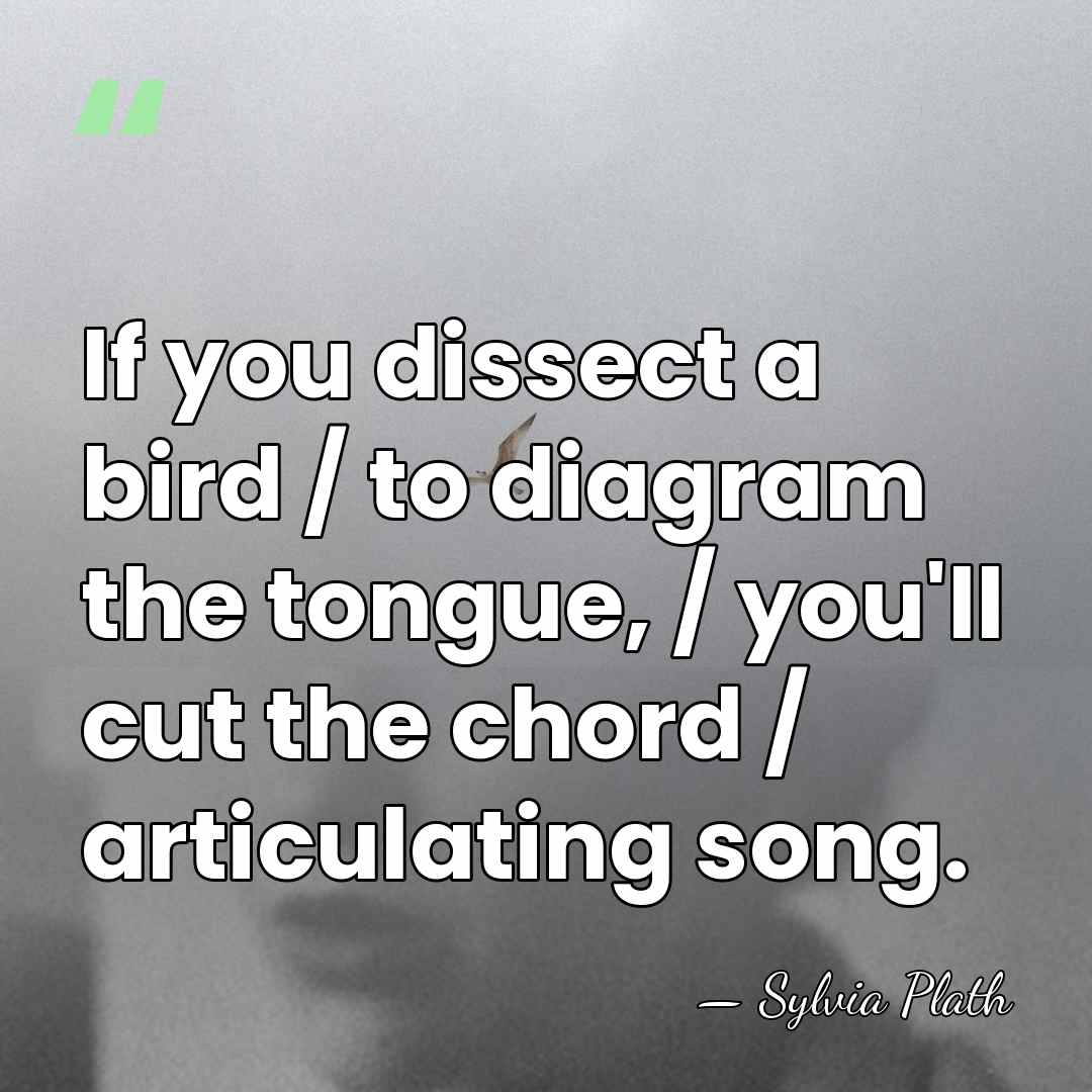 If you dissect a bird / to diagram the tongue, / you'll&hellip; - Sylvia Plath