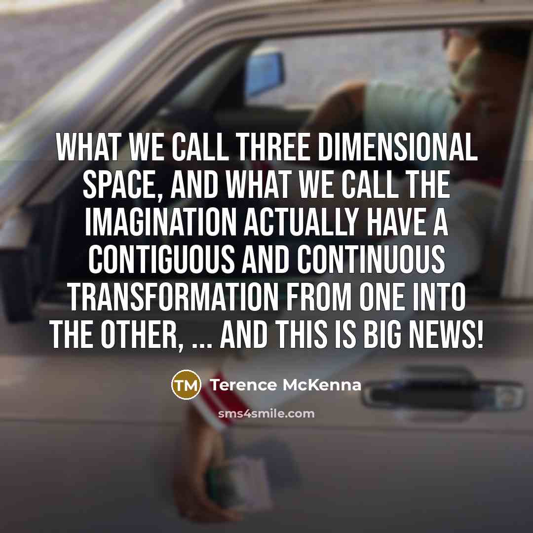 “What we call three dimensional space, and what we call…” quote by Terence McKenna