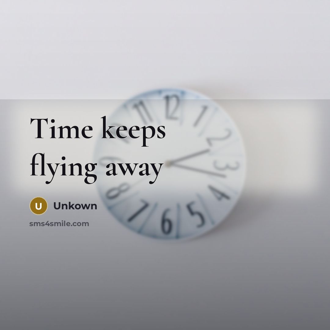 “Time keeps flying away” quote by Unkown