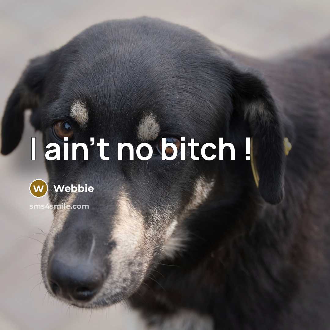 “I ain't no bitch !…” quote by Webbie