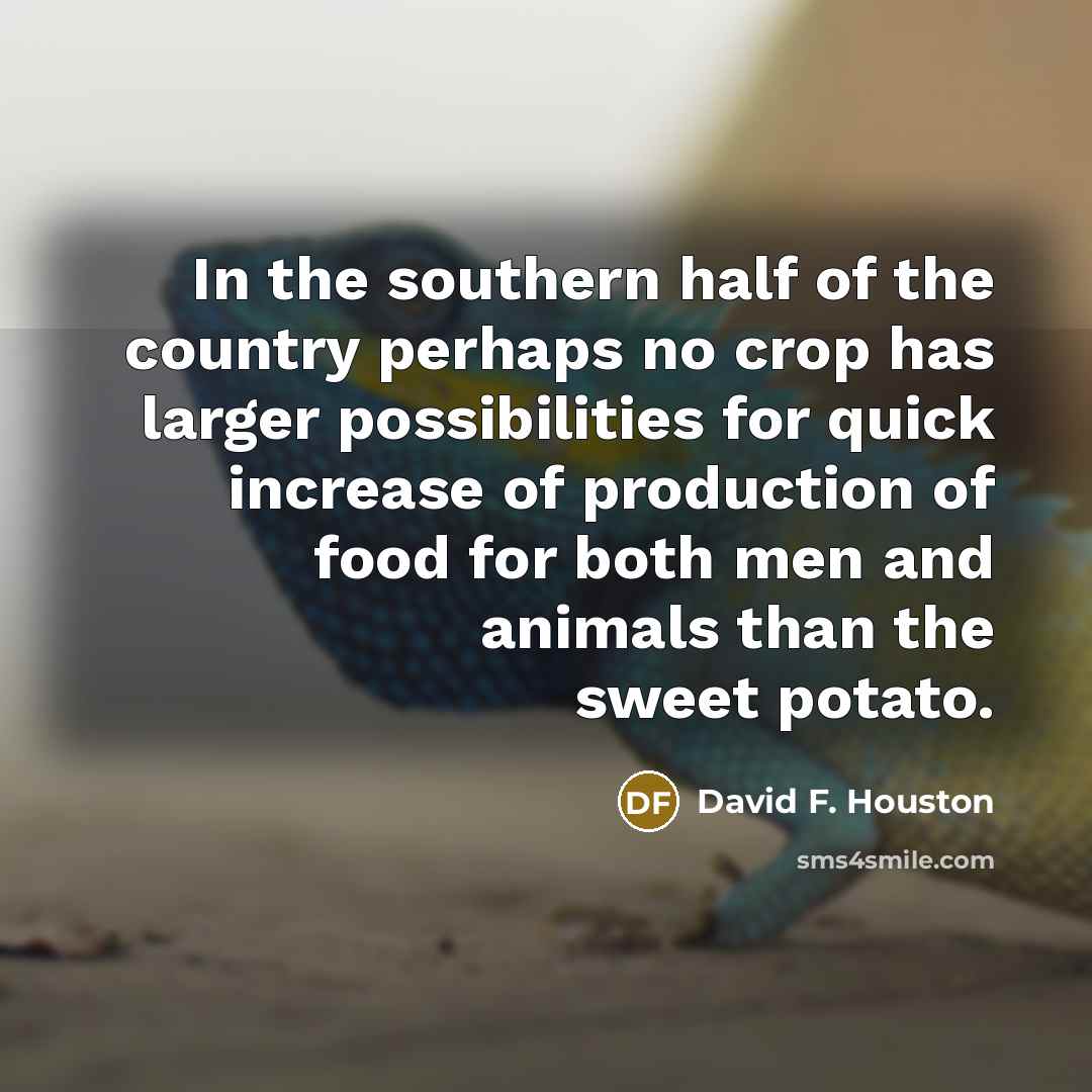 “In the southern half of the country perhaps no crop…” quote by David F. Houston