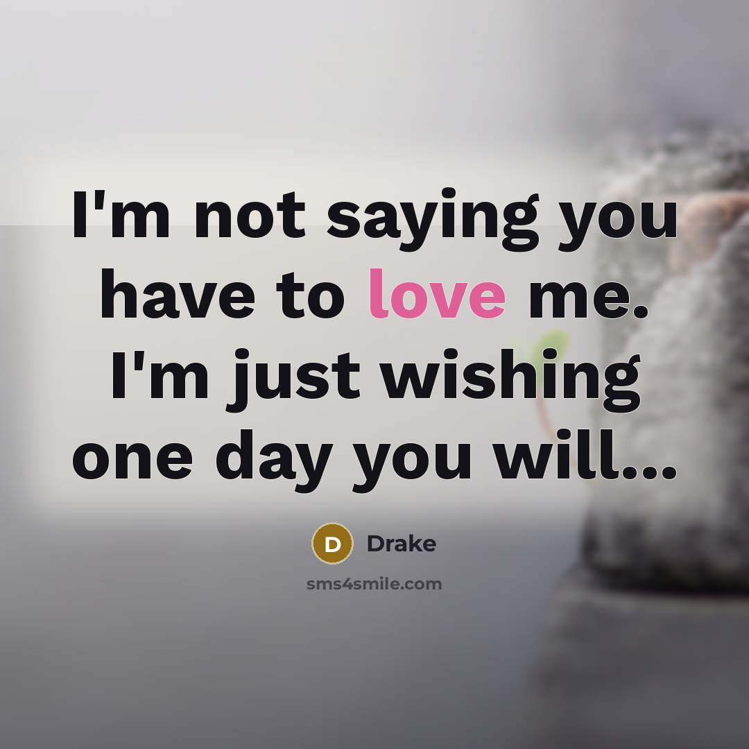 “I'm not saying you have to love me. I'm just…” quote by Drake