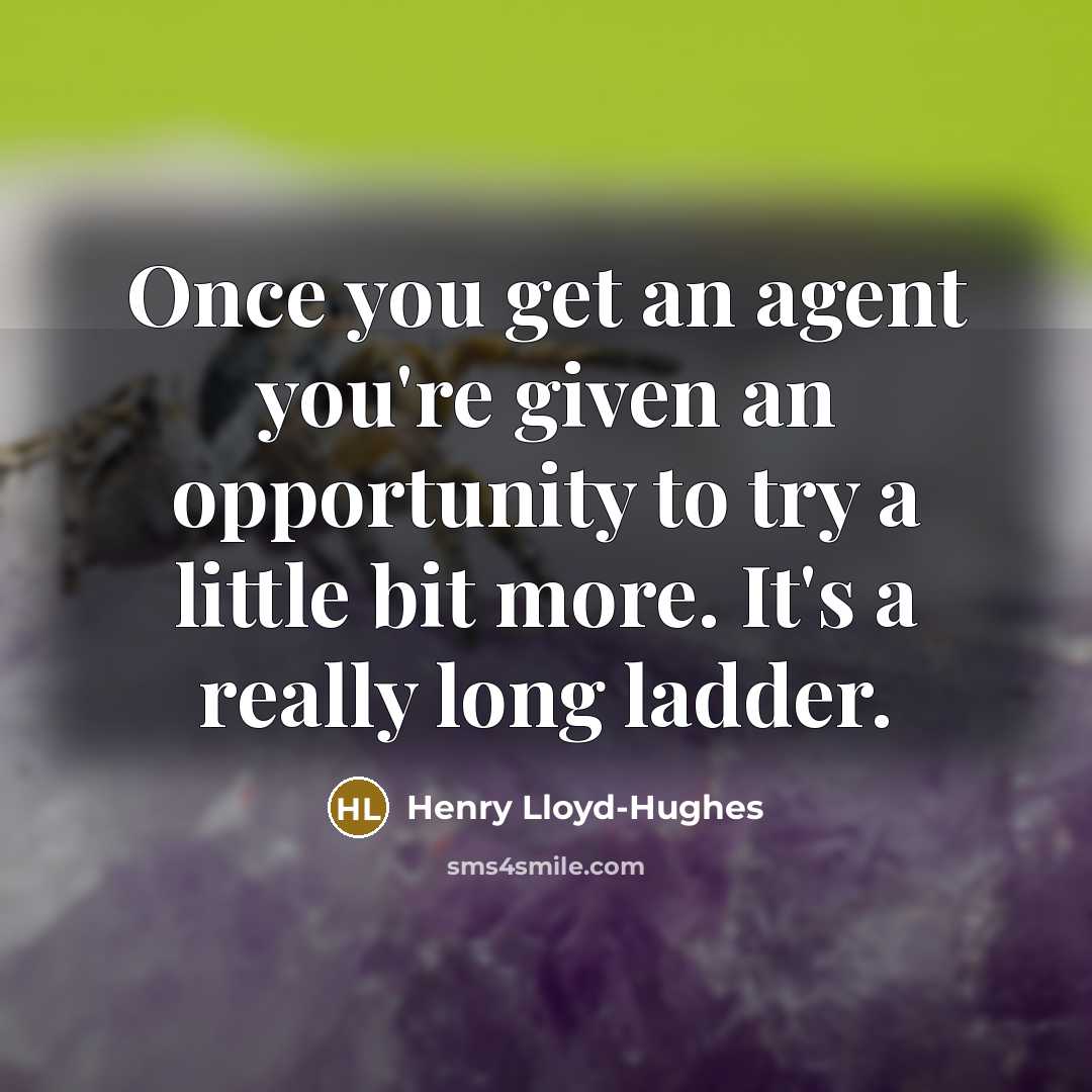 “Once you get an agent you're given an opportunity to…” quote by Henry Lloyd-Hughes