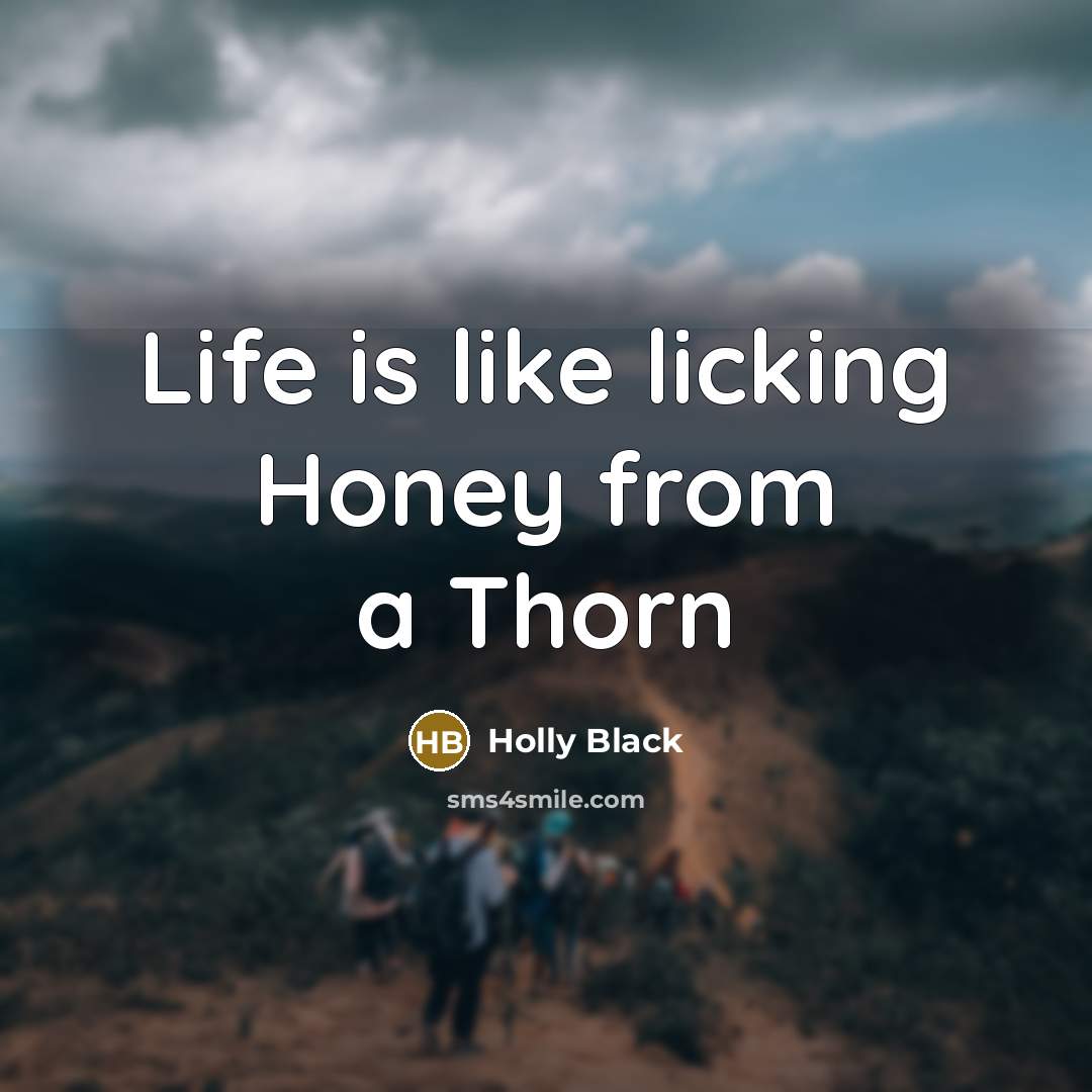 “Life is like licking Honey from a Thorn…” quote by Holly Black