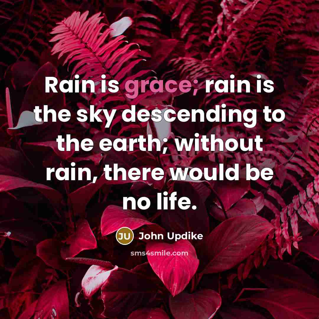 “Rain is grace; rain is the sky descending to the…” quote by John Updike