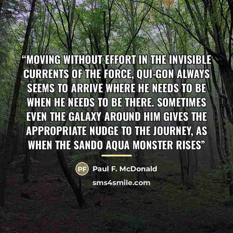 “Moving without effort in the invisible currents of the Force, Qui-Gon always seems to arrive where he needs to be when he needs to be there. Sometimes even the galaxy around him gives the appropriate nudge to the journey, as when the sando aqua monster rises” quote by Paul F. McDonald