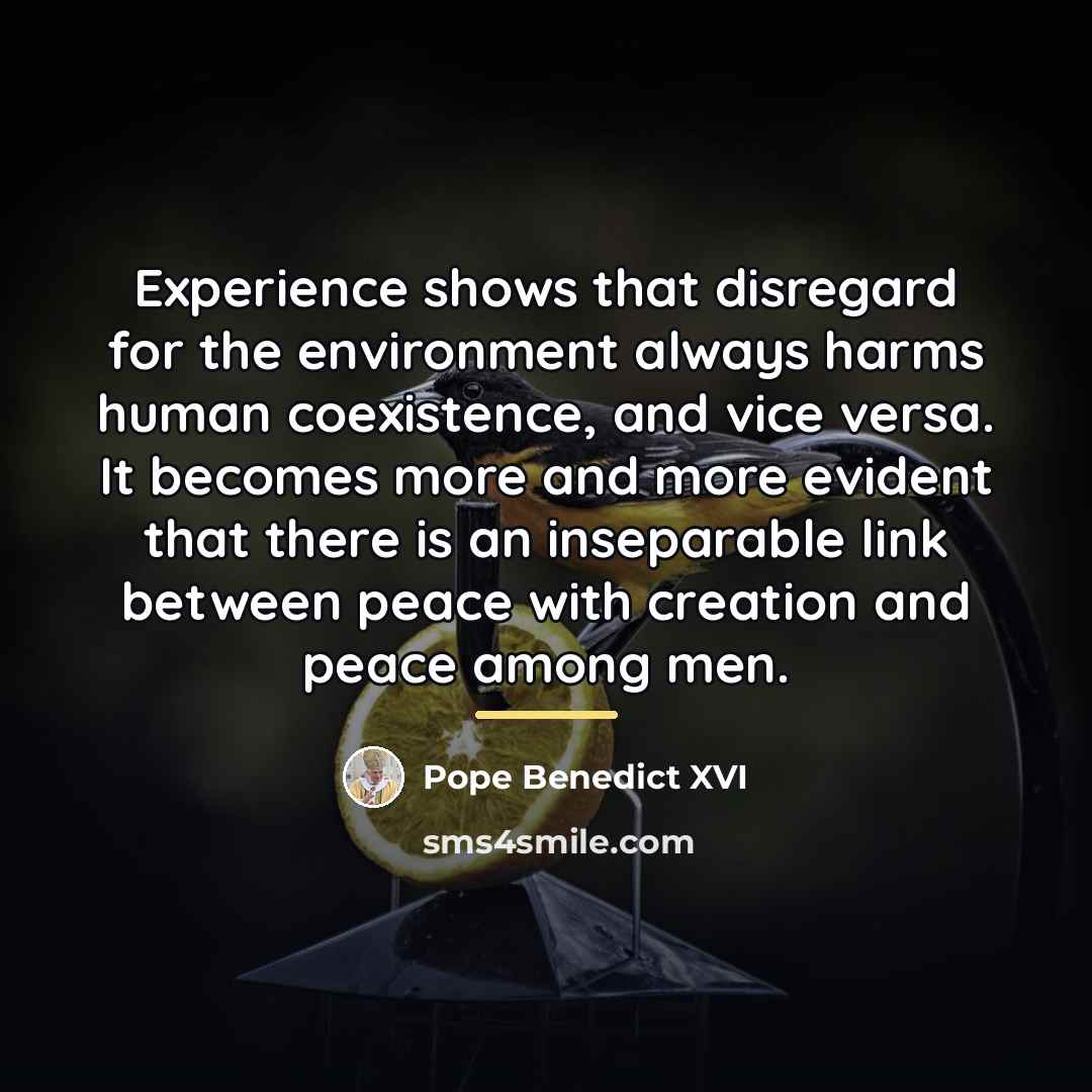 “Experience shows that disregard for the environment always harms human…” quote by Pope Benedict XVI