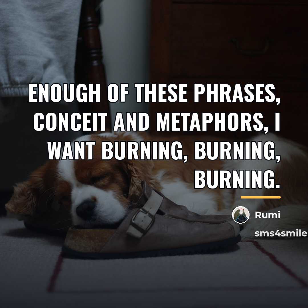 “Enough of these phrases, conceit and metaphors, I want burning,…” quote by Rumi