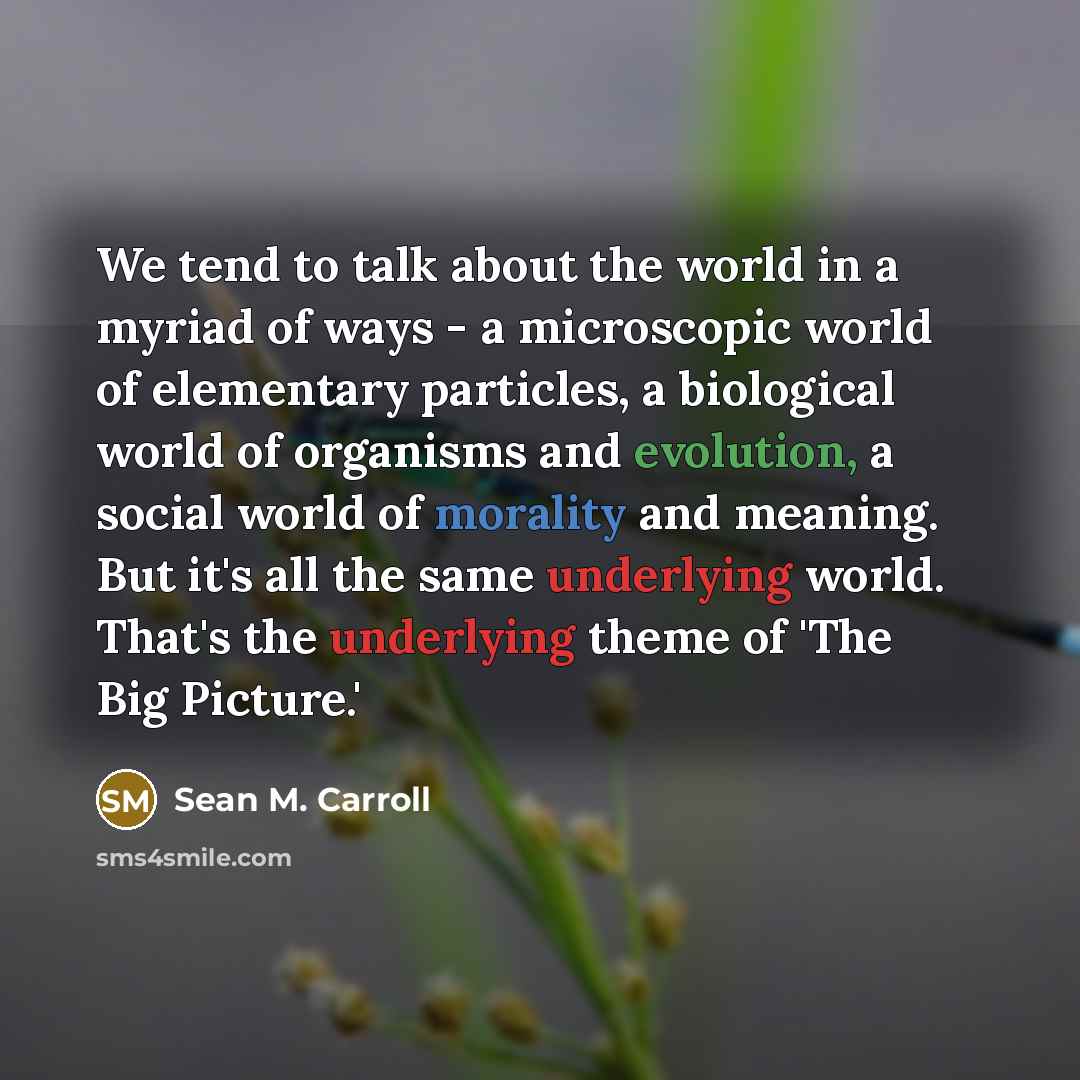 “We tend to talk about the world in a myriad…” quote by Sean M. Carroll