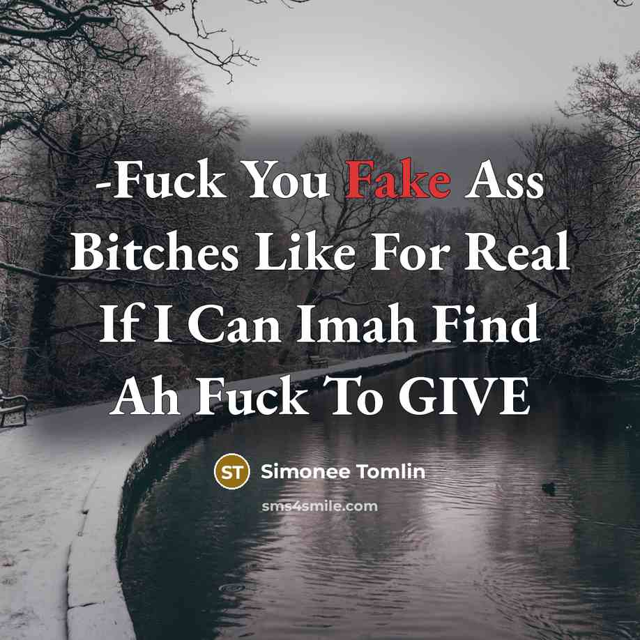 “-Fuck You Fake Ass Bitches Like For Real If I Can Imah Find Ah Fuck To GIVE” quote by Simonee Tomlin