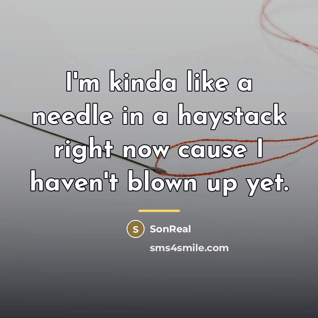 “I'm kinda like a needle in a haystack right now…” quote by SonReal