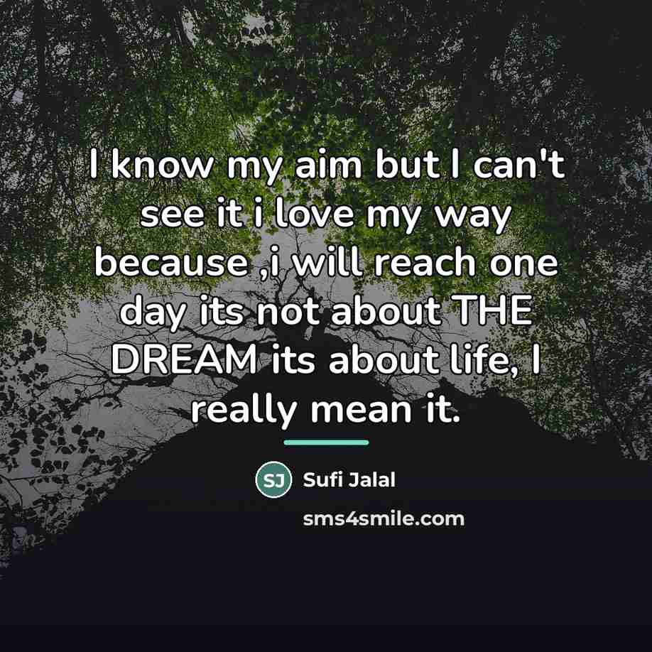 “I know my aim but I can't see it i…” quote by Sufi Jalal
