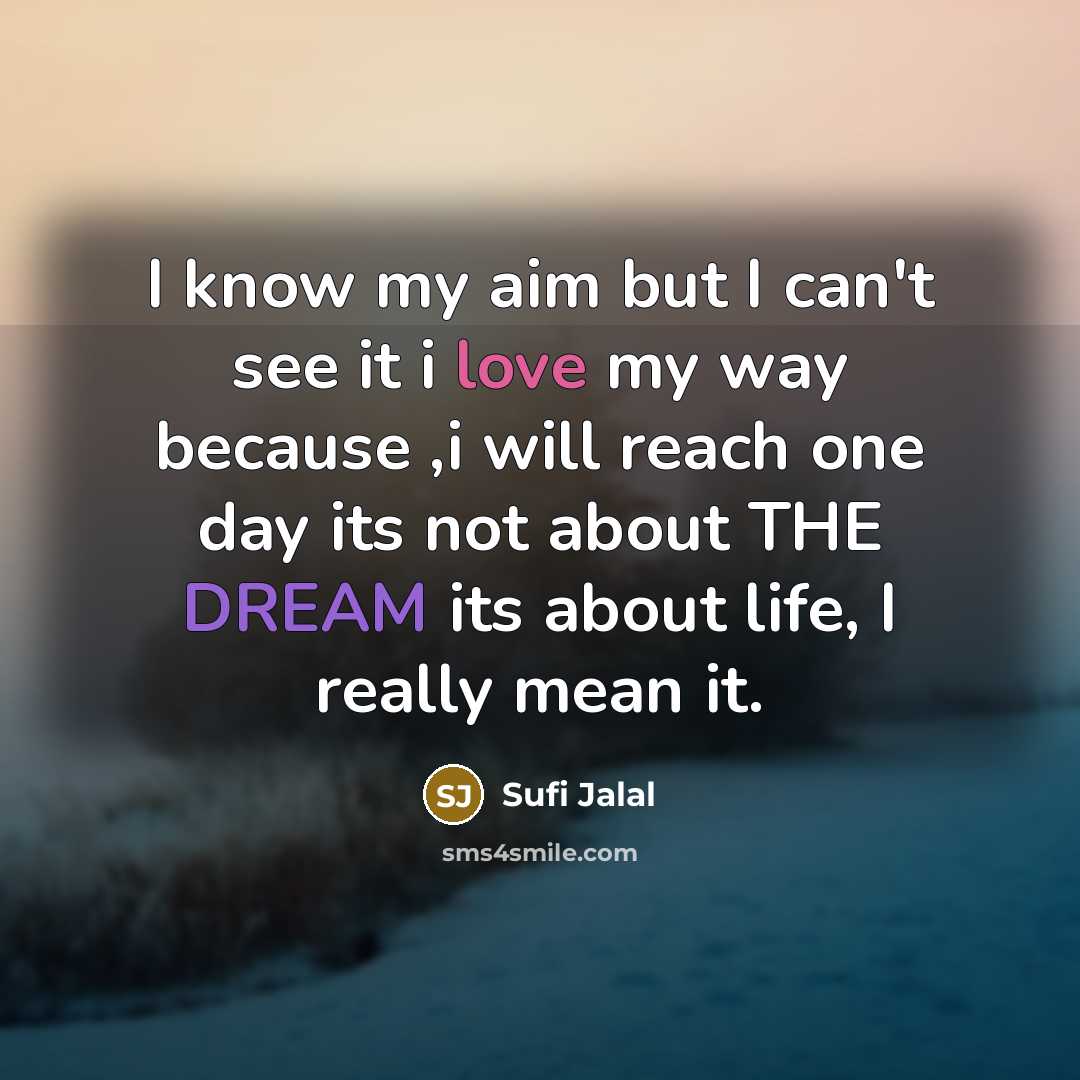 “I know my aim but I can't see it i love my way because ,i will reach one day its not about THE DREAM its about life, I really mean it.” quote by Sufi Jalal