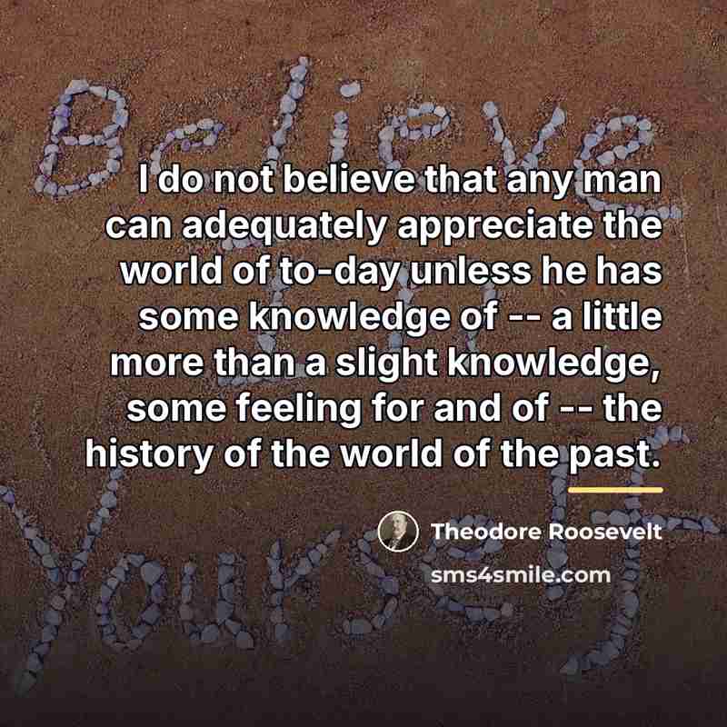 “I do not believe that any man can adequately appreciate…” quote by Theodore Roosevelt