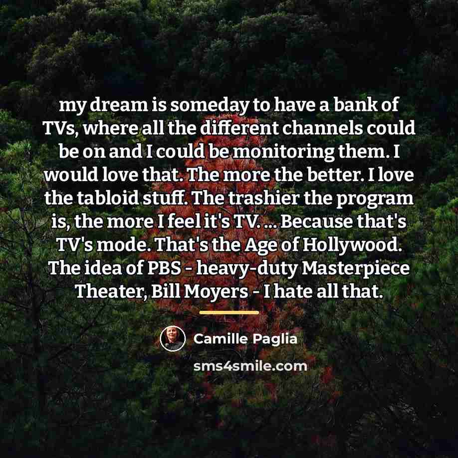 “my dream is someday to have a bank of TVs,…” quote by Camille Paglia