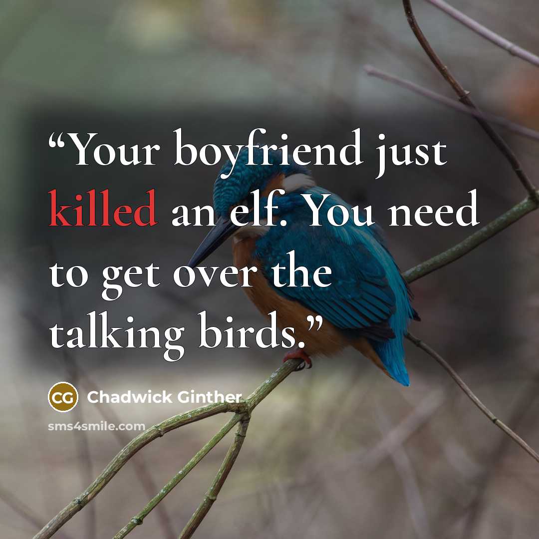 “Your boyfriend just killed an elf. You need to get over the talking birds.” quote by Chadwick Ginther