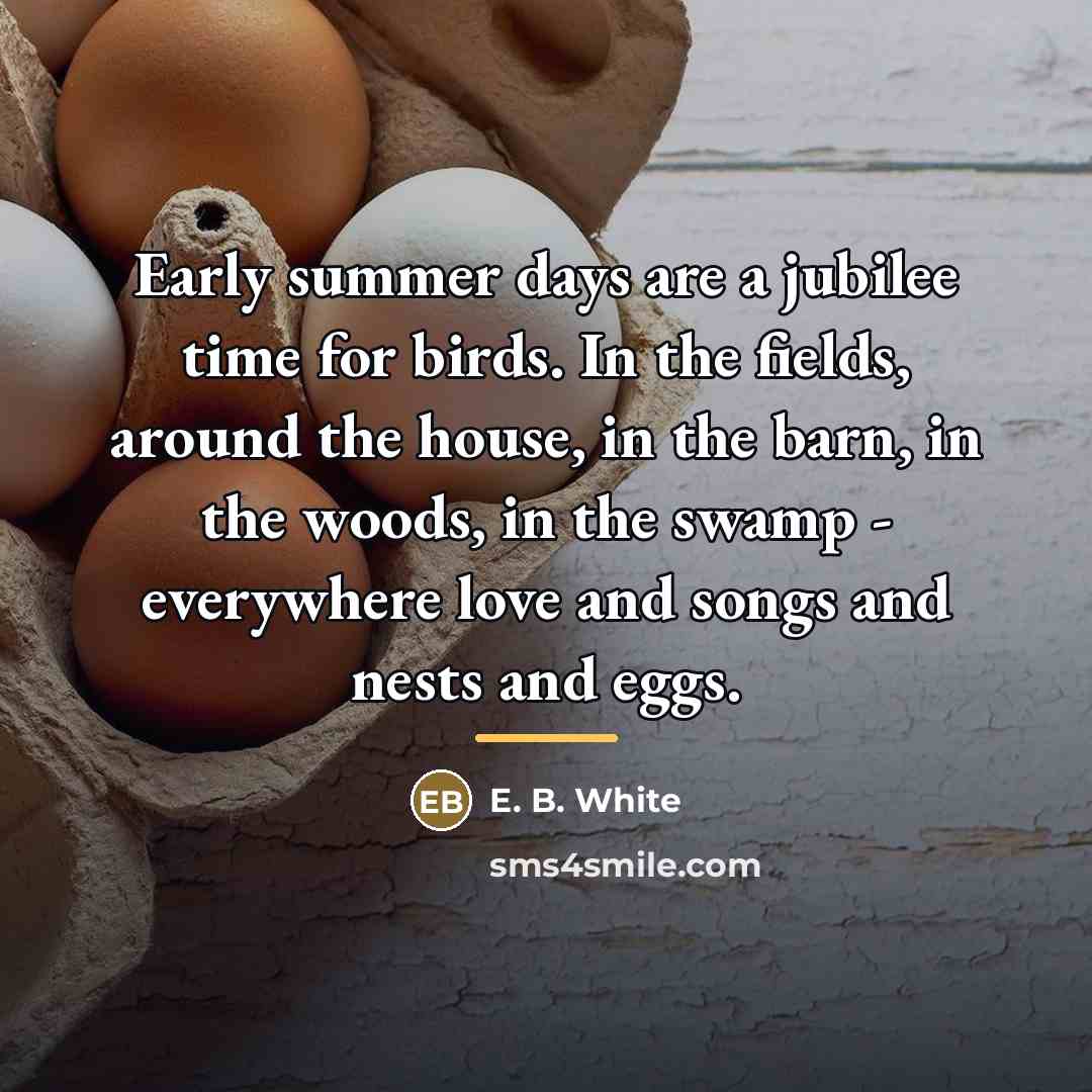 “Early summer days are a jubilee time for birds. In…” quote by E. B. White