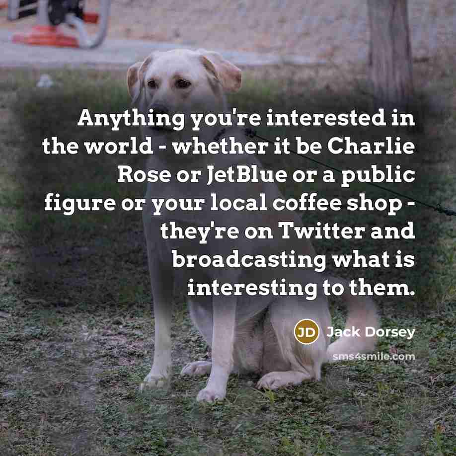 “Anything you're interested in the world - whether it be…” quote by Jack Dorsey