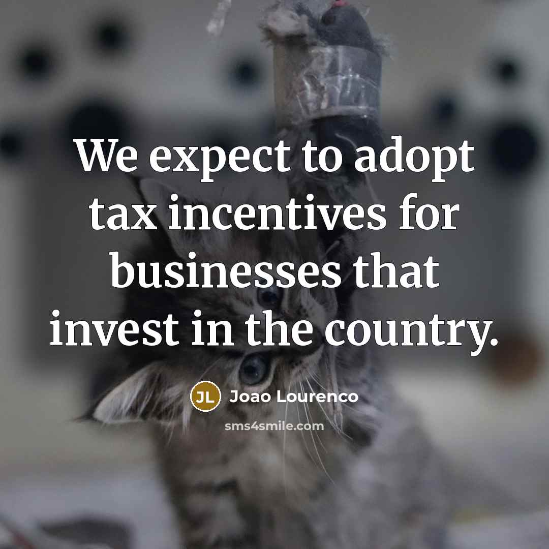 “We expect to adopt tax incentives for businesses that invest…” quote by Joao Lourenco