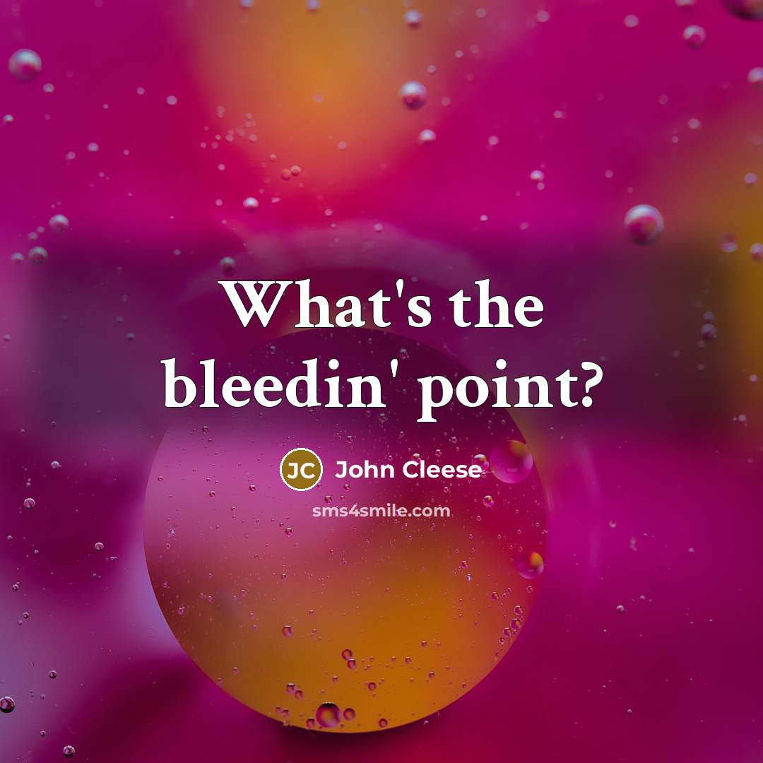 “What's the bleedin' point?…” quote by John Cleese