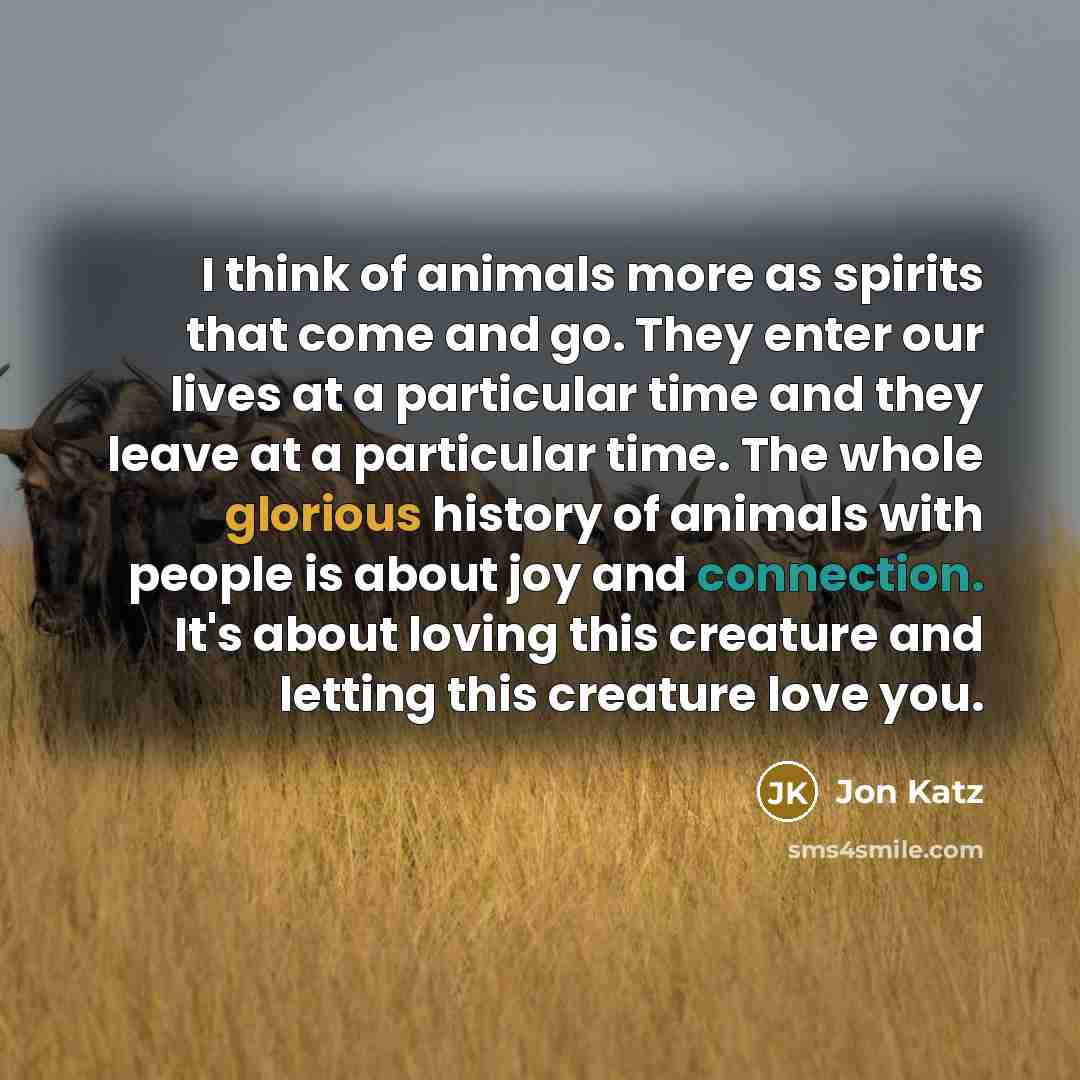 “I think of animals more as spirits that come and…” quote by Jon Katz