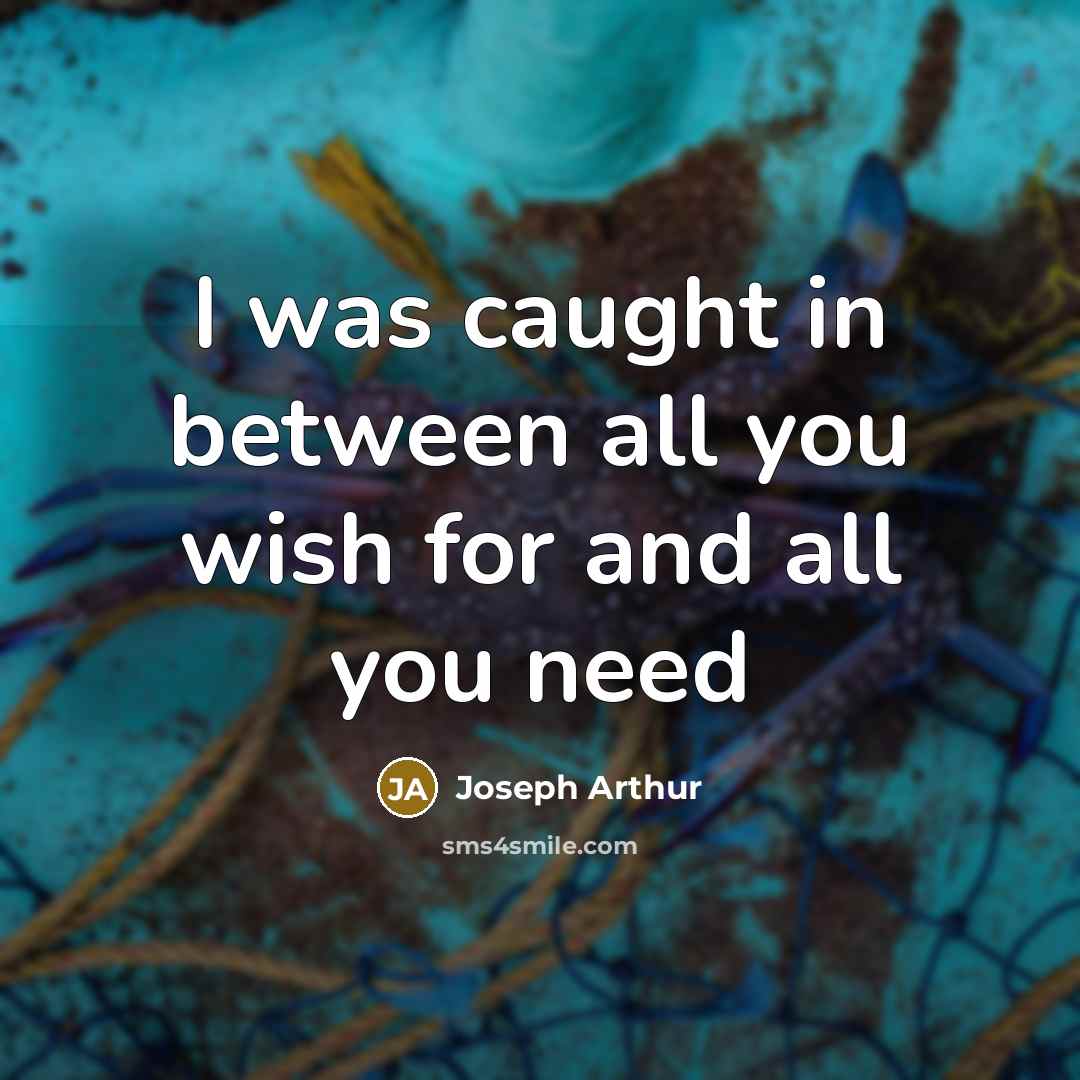 “I was caught in between all you wish for and…” quote by Joseph Arthur