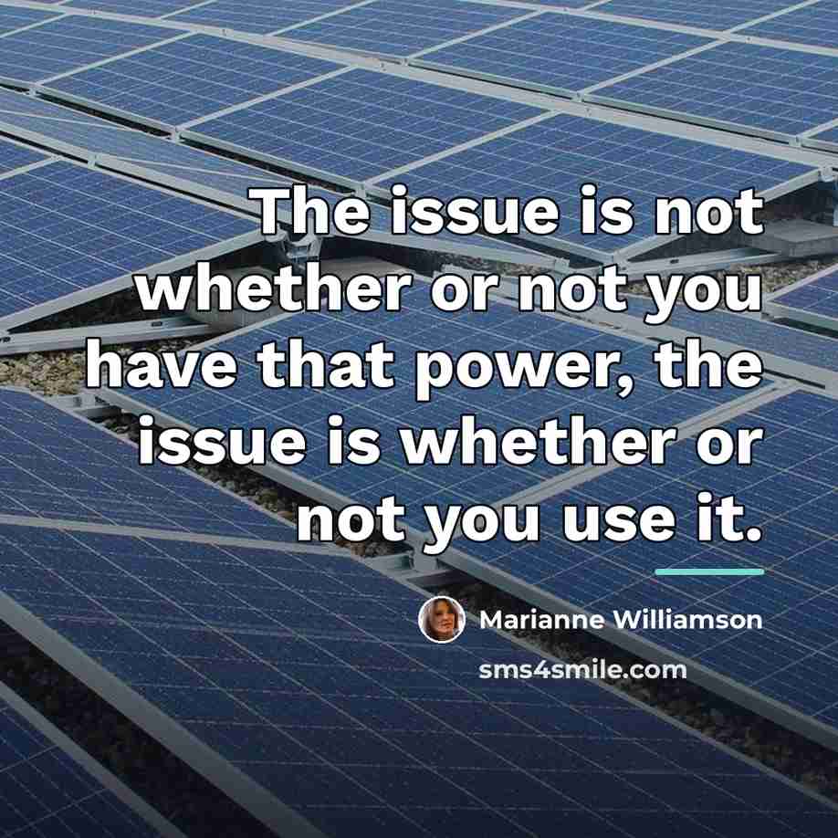 “The issue is not whether or not you have that…” quote by Marianne Williamson