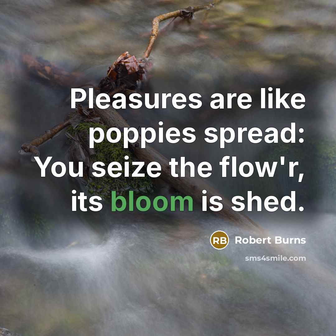 “Pleasures are like poppies spread: You seize the flow'r, its…” quote by Robert Burns