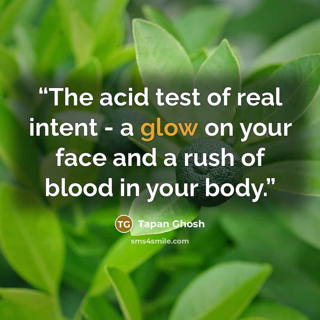 “The acid test of real intent - a glow on your face and a rush of blood in your body.” quote by Tapan Ghosh
