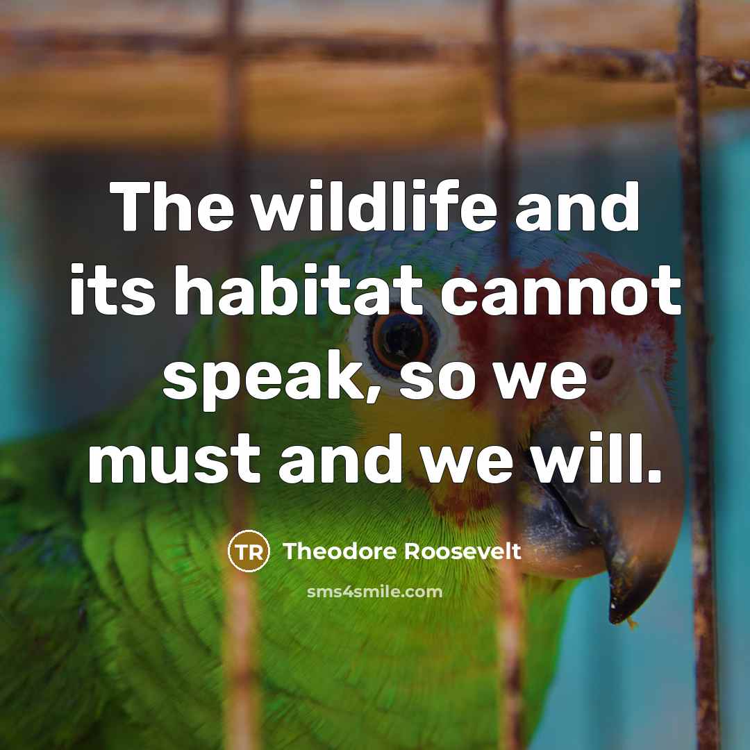 “The wildlife and its habitat cannot speak, so we must…” quote by Theodore Roosevelt