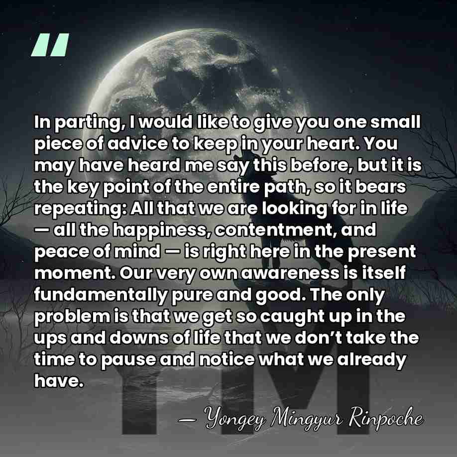 In parting, I would like to give you one small piece of&hellip; - Yongey Mingyur Rinpoche