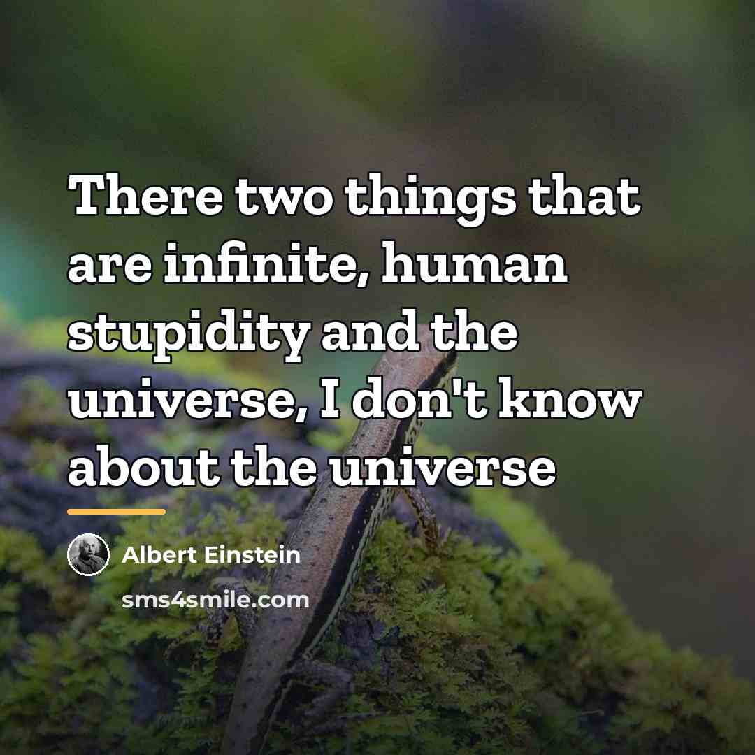 “There two things that are infinite, human stupidity and the…” quote by Albert Einstein