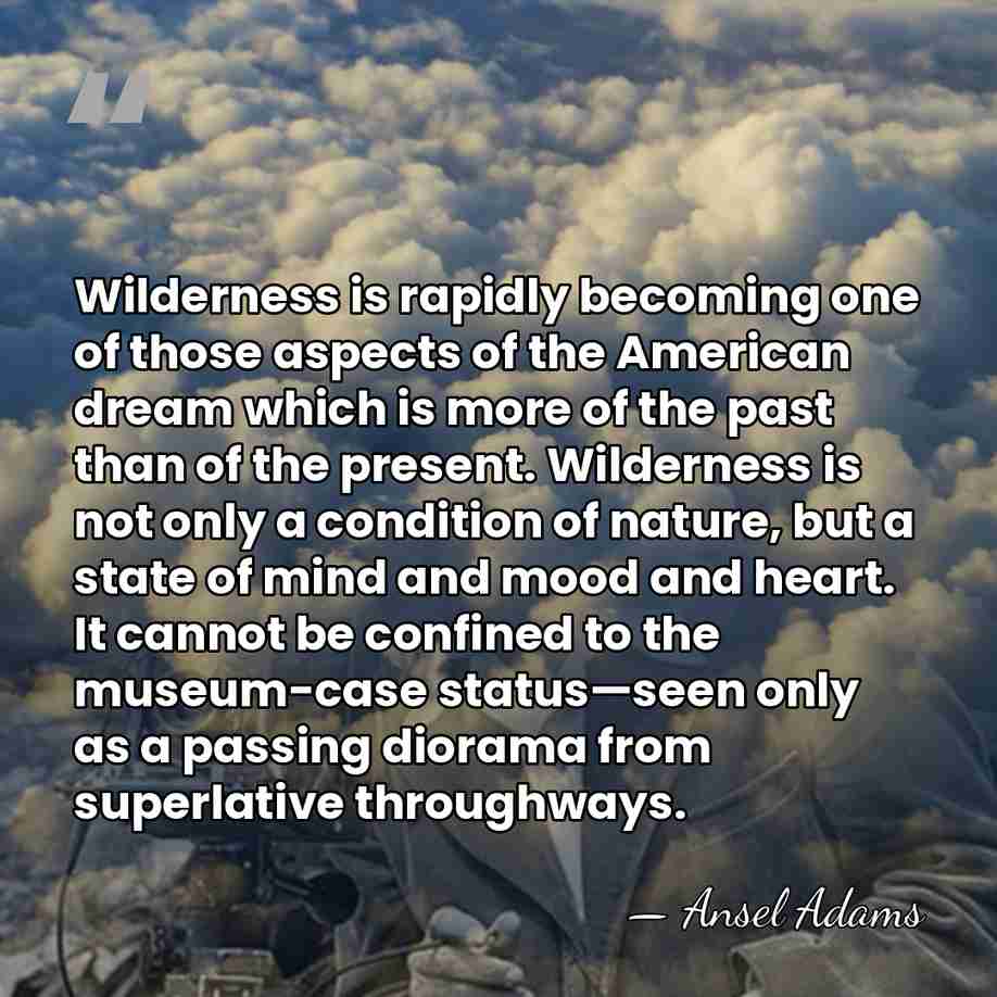 Wilderness is rapidly becoming one of those aspects of the American dream&hellip; - Ansel Adams