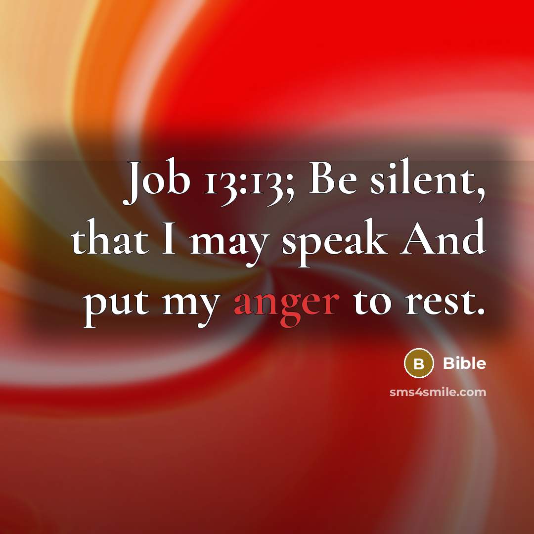 “Job 13:13; Be silent, that I may speak And put…” quote by Bible