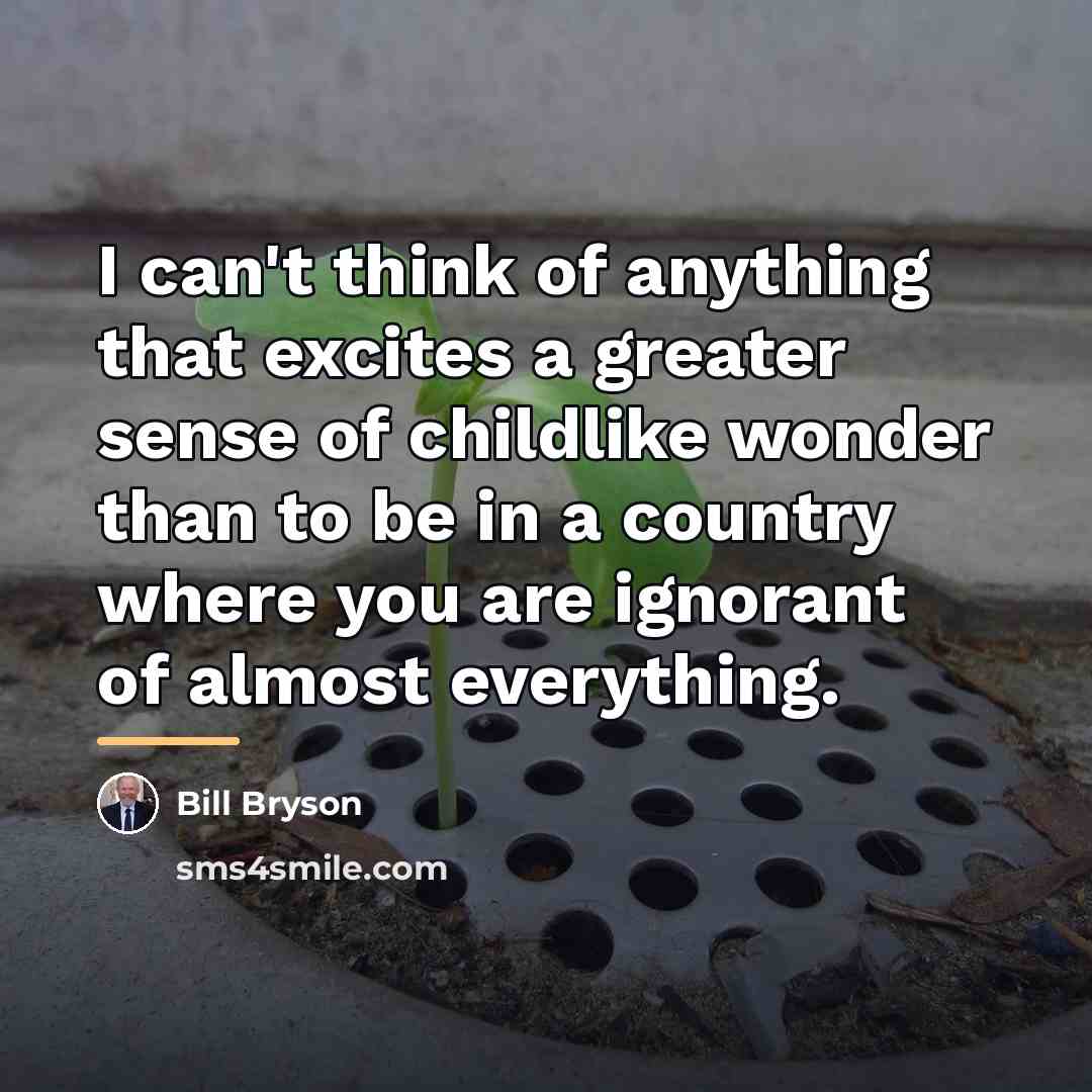 “I can't think of anything that excites a greater sense…” quote by Bill Bryson