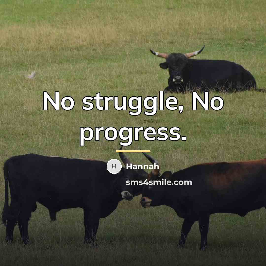 “No struggle, No progress.…” quote by Hannah