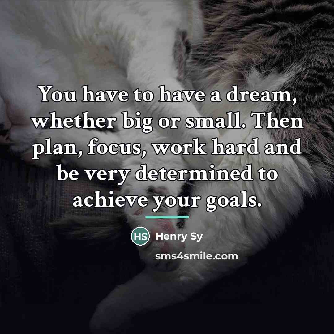 “You have to have a dream, whether big or small.…” quote by Henry Sy