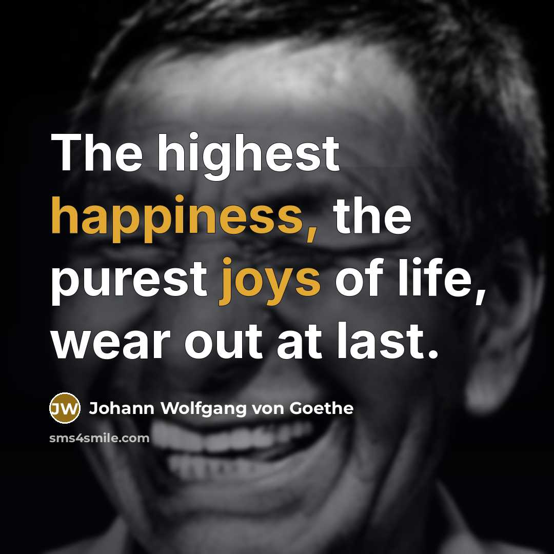 “The highest happiness, the purest joys of life, wear out…” quote by Johann Wolfgang von Goethe