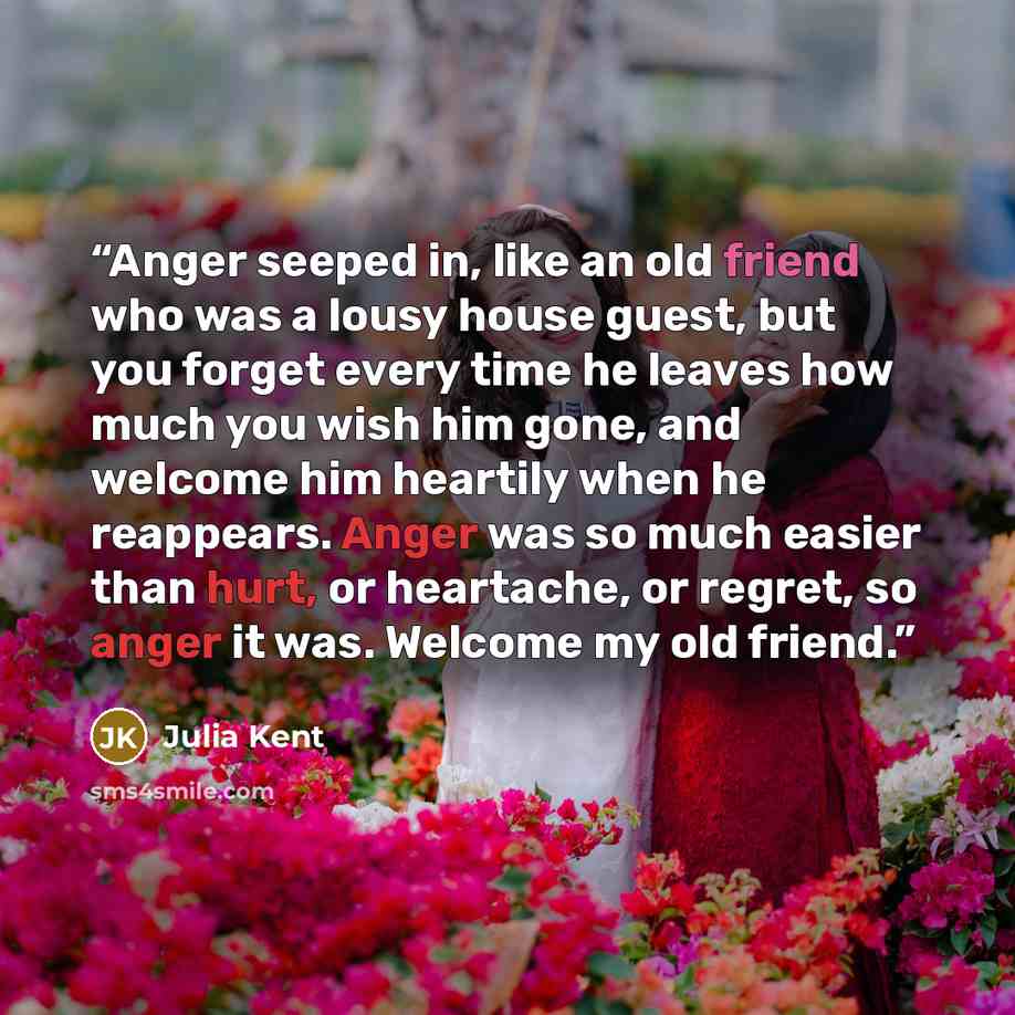 “Anger seeped in, like an old friend who was a lousy house guest, but you forget every time he leaves how much you wish him gone, and welcome him heartily when he reappears. Anger was so much easier than hurt, or heartache, or regret, so anger it was. Welcome my old friend.” quote by Julia Kent