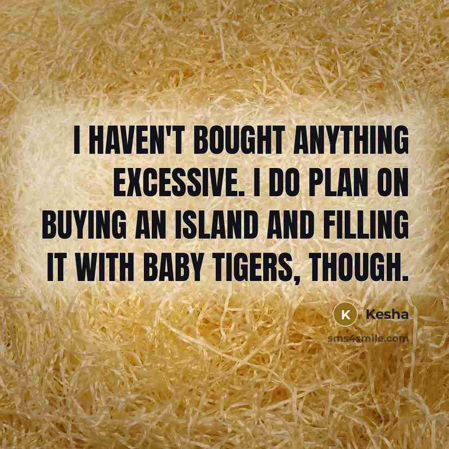 “I haven't bought anything excessive. I do plan on buying…” quote by Kesha