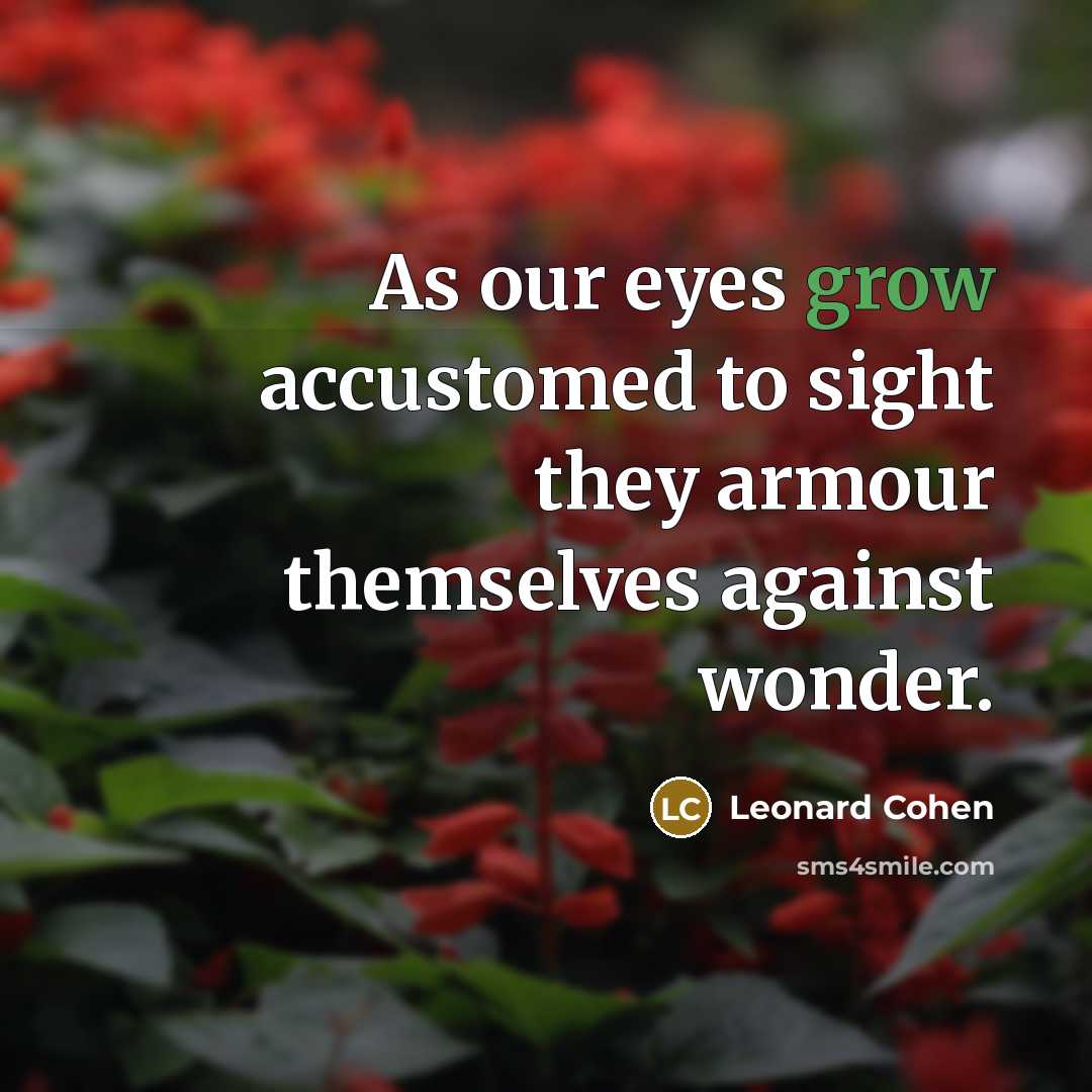 “As our eyes grow accustomed to sight they armour themselves…” quote by Leonard Cohen