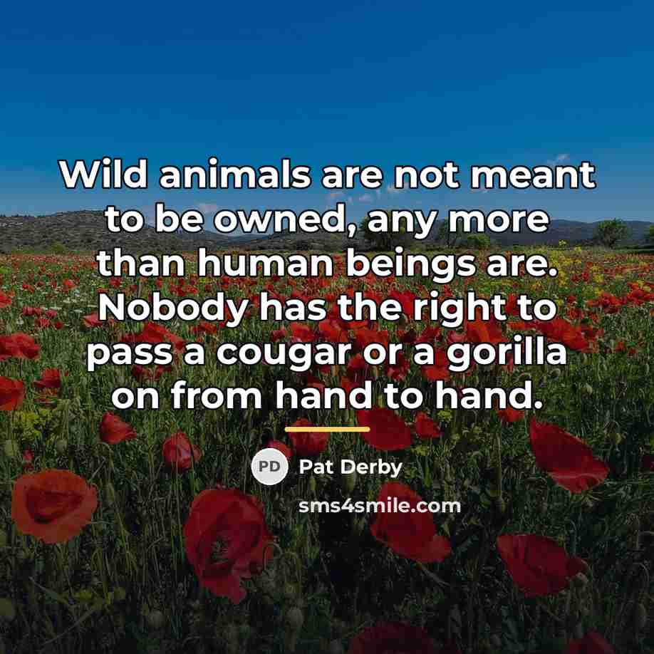 “Wild animals are not meant to be owned, any more…” quote by Pat Derby